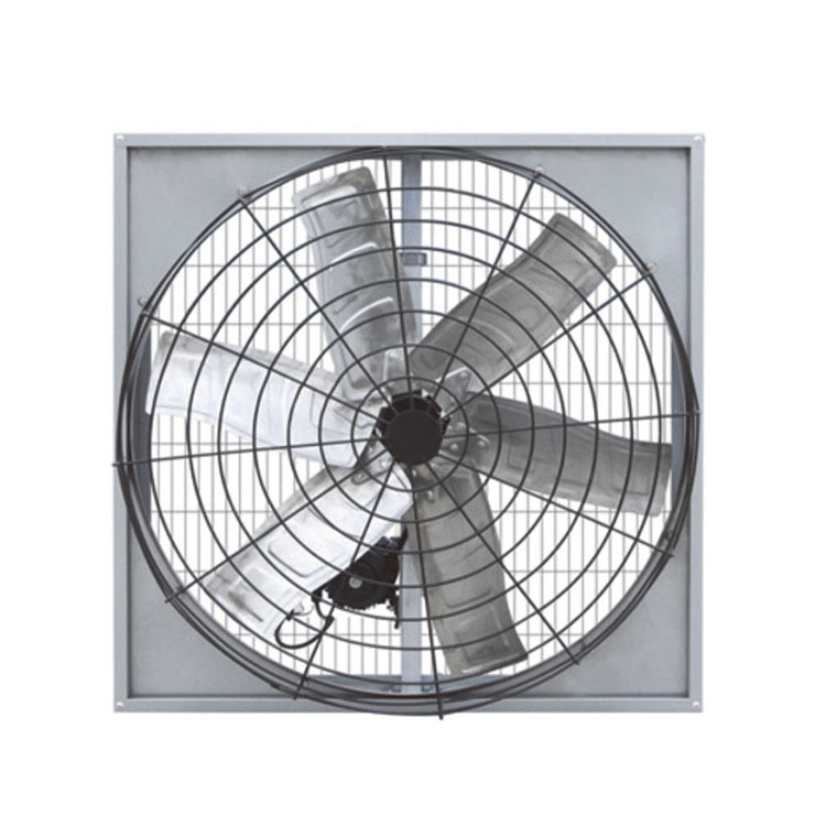 Comment choisir un ventilateur de vache à courroie efficace pour les besoins de ventilation du bétail et de l'industrie ?